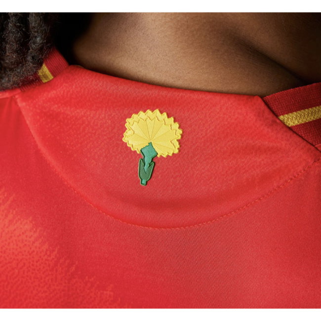 2024-2025 Spain Authentic Home Shirt (Lamine Yamal 10)-SoccerKits Hub | Buy Soccer Jerseys Online